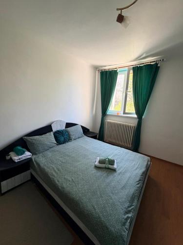 a bedroom with a bed with green sheets and a window at Apartament Iasmina 2 in Petroşani