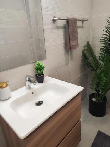 a bathroom sink with two potted plants and a mirror at Sweet Haven - Sports Rd in Westlands