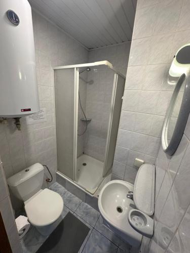 a bathroom with a shower and a toilet and a sink at Vievija Hotel in Vievis