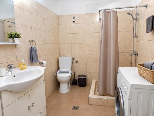 a bathroom with a sink and a toilet and a shower at Sophia House in Keramoti