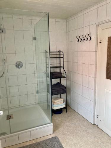 a bathroom with a shower and a towel rack at Ferienhaus Alter Hof in Volkach