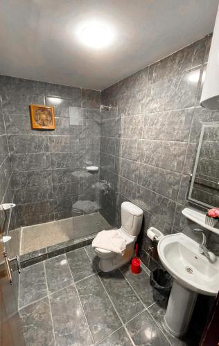 a bathroom with a shower and a toilet and a sink at Basha Pyramids Best View in Giza