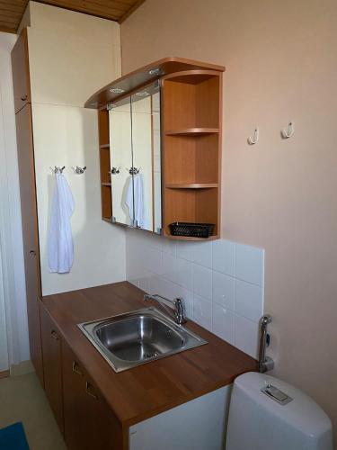 a small kitchen with a sink and a toilet at Huoneisto Rivimerta, Siikajoki in Siikajoki