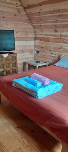 a bedroom with a bed with a tv and a bed at MANN House in Ninkovići