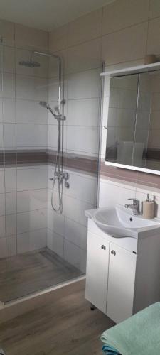 a bathroom with a shower and a sink at MANN House in Ninkovići