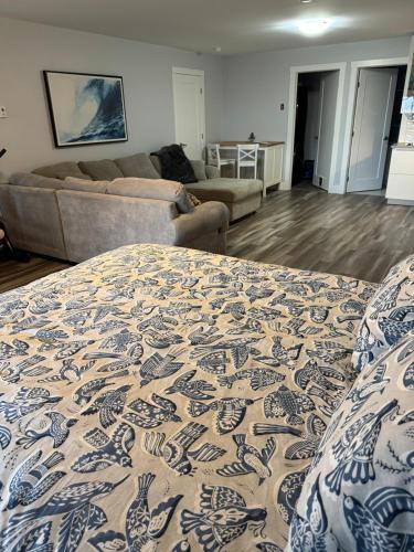 a living room with a couch and a bed at Studio Guest Apartment in Dartmouth in Halifax