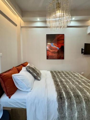 Safari Lux Studio SKG Newly Renovated