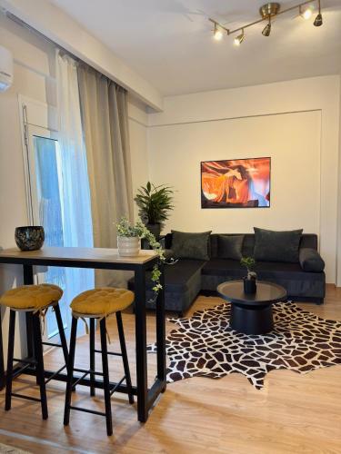 Safari Lux Studio SKG Newly Renovated