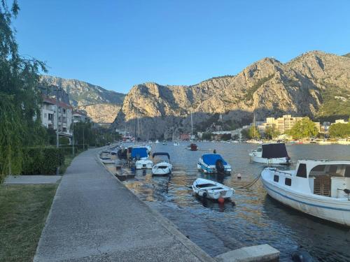 River Coast
