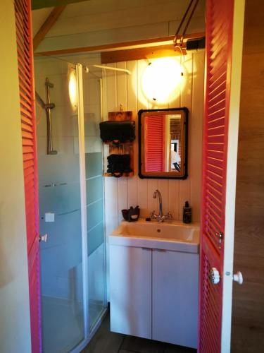 a bathroom with a sink and a mirror at Trekkershut - Tiny House - Hikers cottage in Wijster