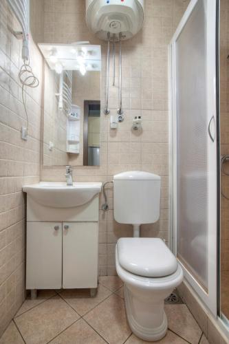 a bathroom with a toilet and a sink and a shower at Pansion 22 CETINJE in Cetinje