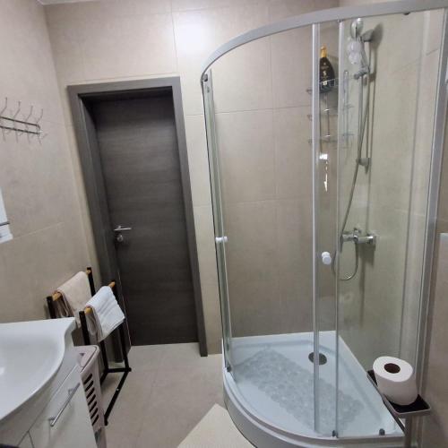 a bathroom with a shower and a toilet and a sink at Studio apartmani Atlantik in Nedelišće