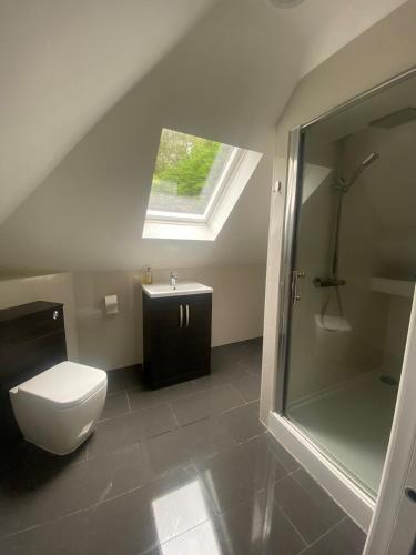 a bathroom with a toilet and a shower and a sink at Spacious and close to Gatwick in Crawley