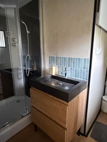 a bathroom with a sink and a shower at Apartment Osso 2, Arnhem in Arnhem