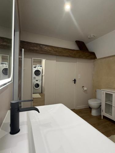 a bathroom with a sink and a toilet in a room at Le Gîte du Prieuré in Josselin
