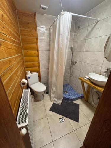 a bathroom with a shower and a toilet and a sink at Садиба Близнюки in Vorokhta