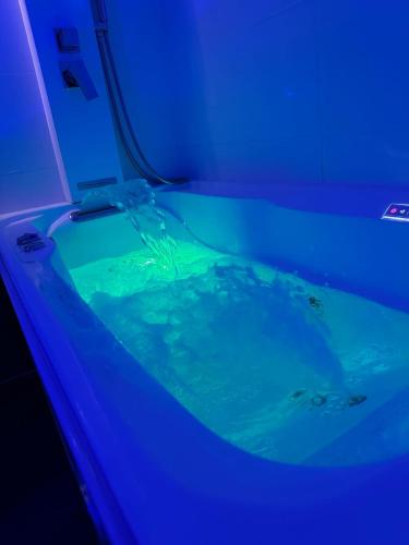 Apartament JungleSPA z prywatnym jacuzzi centrum Wrocław samodzielne zameldowanie i bezpłatny parking