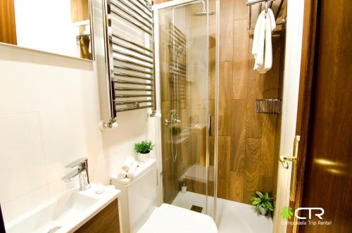 a bathroom with a shower and a toilet and a sink at Spacious & Central Apartament in Santiago de Compostela