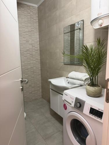 a bathroom with a washing machine and a sink at Swiss Apartments 3 in Velika Plaža