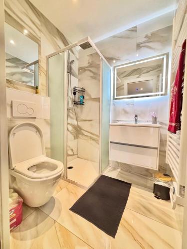 a bathroom with a toilet and a glass shower at Cozy studio Annecy in Poisy
