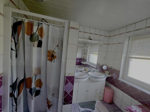 a bathroom with a sink and a toilet and a shower at L'Orée des Bois in Paliseul
