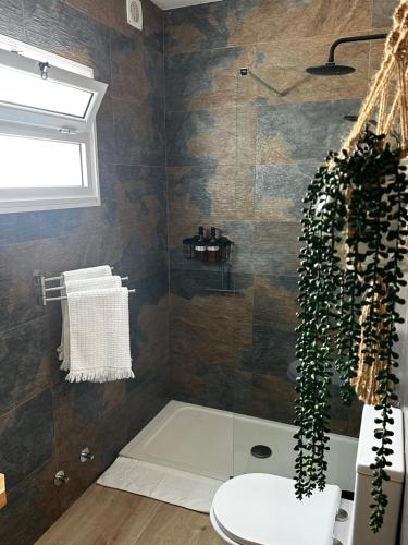 a bathroom with a shower with a toilet and a plant at Coastal Sands Azores in Ribeira Grande