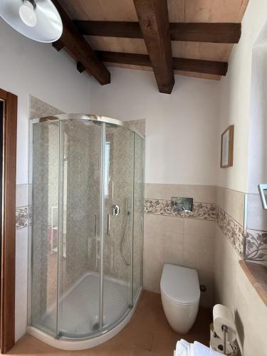 a bathroom with a shower and a toilet at Il Casale del Tiglio in Monteleone dʼOrvieto