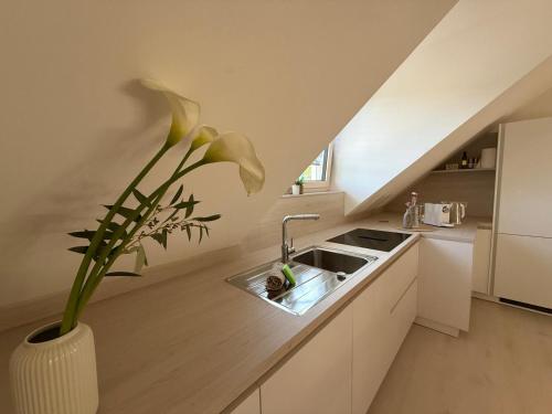 Donau-Loft near City and Highway