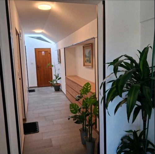 Studio apartmani Atlantik