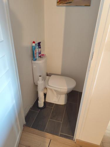 a small bathroom with a toilet in a room at Appartement Centre Ville in Questembert