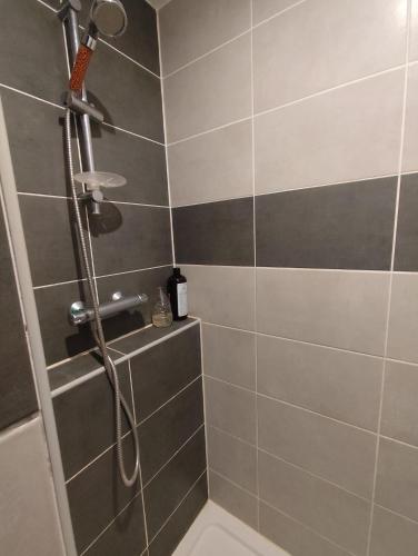a shower in a bathroom with a gray and gray tile wall at Appartement Centre Ville in Questembert