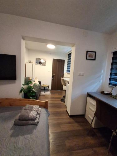 a living room with a couch and a table at Apartment Allapera in Svibovec Podravski