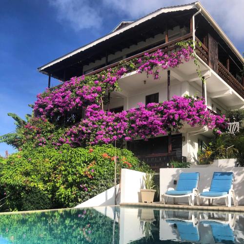 a house with purple flowers next to a swimming pool at La Panache Guesthouse in Gros Islet