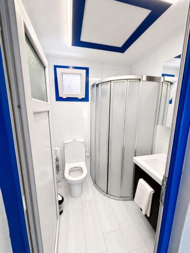 a bathroom with a toilet and a shower and a sink at Villa Dalaman Müjgan Hanım Konağı in Dalaman
