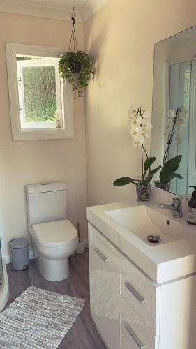 a bathroom with a toilet and a sink and a mirror at Sun kissed beach haven in Waitarere