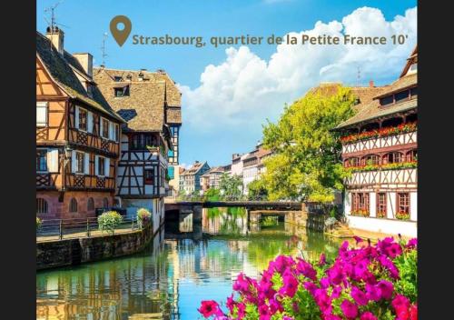a picture of a river with buildings and flowers at Le sympathique in Ittenheim