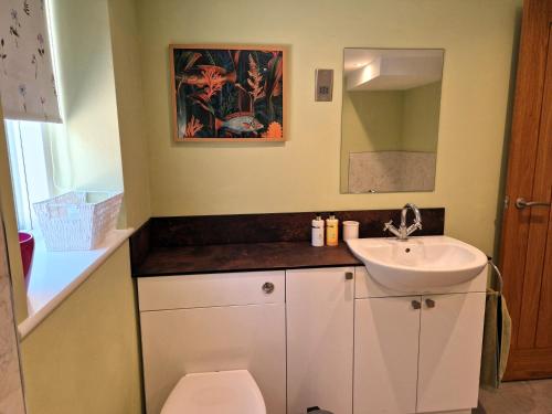 a bathroom with a sink and a toilet at Mortimers Farm Barn in Saffron Walden