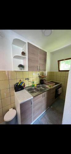 a small kitchen with a sink and a toilet at Vintage house Jablanica Lake in Železnička Stanica Jablanica Grad
