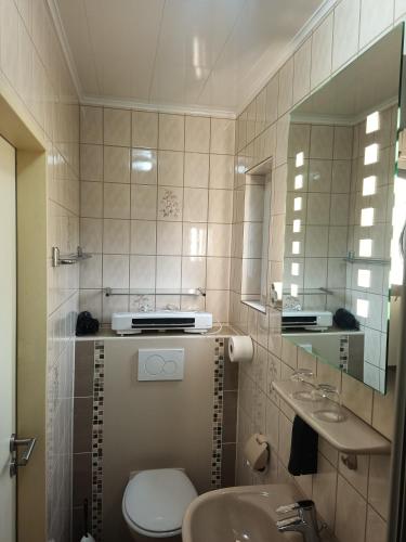 a bathroom with a toilet and a sink and a mirror at Weingut Villa Raevenhof in Ayl