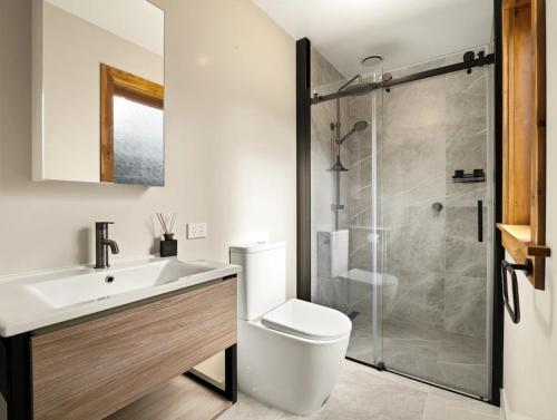 a bathroom with a toilet and a sink and a shower at 1860 Lawrence Cottage in Lawrence