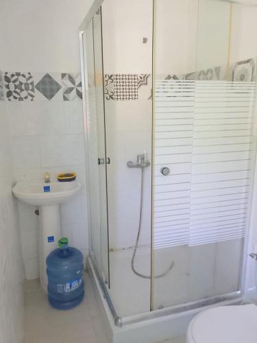 a bathroom with a shower and a toilet and a sink at Two-Bedroom Apartment with Ocean View in La Ciénaga