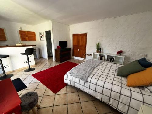 a bedroom with a bed and a red rug at Studio La Parenthèse in Chinon