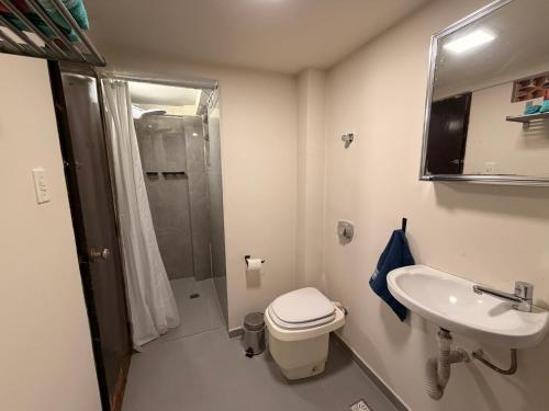 a bathroom with a toilet and a sink and a shower at Apartamento no lugar mais icônico -Edifício Tijucas- XV de Novembro in Curitiba