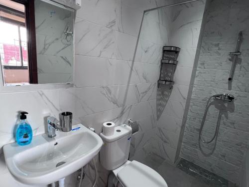 a bathroom with a toilet and a sink and a shower at Appartement No 2 à Tamraght in Tamraght Ouzdar