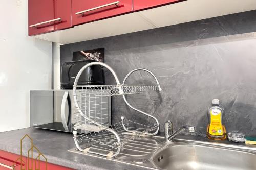 a dish drying rack sitting on a kitchen sink at Le Cherpin I Duplex charmant in Roanne