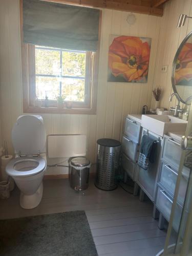 a bathroom with a toilet and a sink and a window at Hannebu, hytte med 3 soverom, 2 bad og sovehems in Kyrkjebygdi