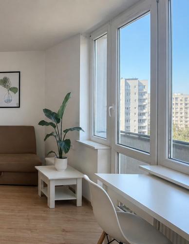Sea Breeze Studio