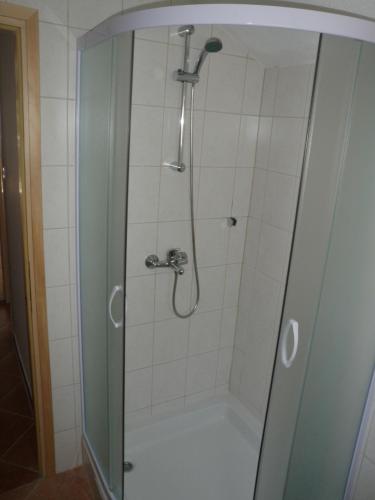a shower with a glass door in a bathroom at Holiday Home Rizvan City in Brušane