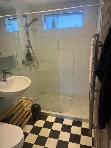 a bathroom with a shower and a toilet and a sink at The Windsor Suite in New Plymouth
