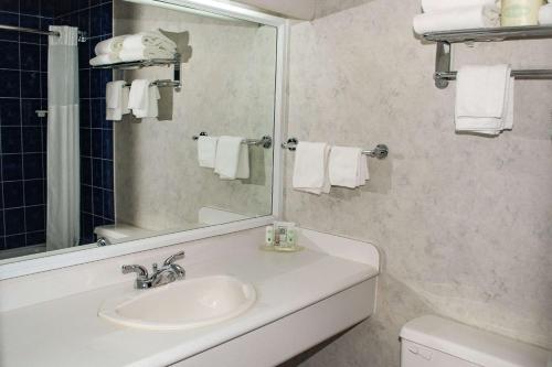 a bathroom with a sink and a mirror and a toilet at Rodeway Inn in Grand Falls
